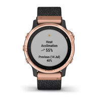 Picture of GARMIN FENIX 6S SAPPHIRE ROSEGOLD CRNI/NYLON REMEN