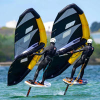 Picture of RRD EVO GOLD  WING Y29  3.0-3.5-4.0-4.5 -5.0-5.5m2 BLACK FRIDAY !!!