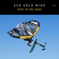 Picture of RRD EVO GOLD  WING Y29  4.0-4.5 -5.0m2 outlet