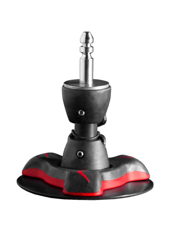 Picture of Zglob Severne base IQ